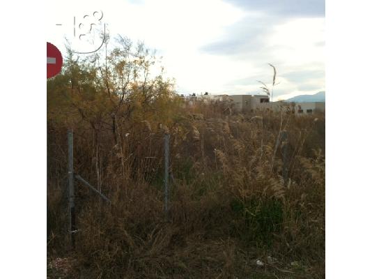 Οικόπεδο 766τ.μ. ΜΑΡΑΘΩΝΑΣ - ΚΑΤΩ ΣΟΥΛΙ ΣΧΟΙΝΙΑΣ
